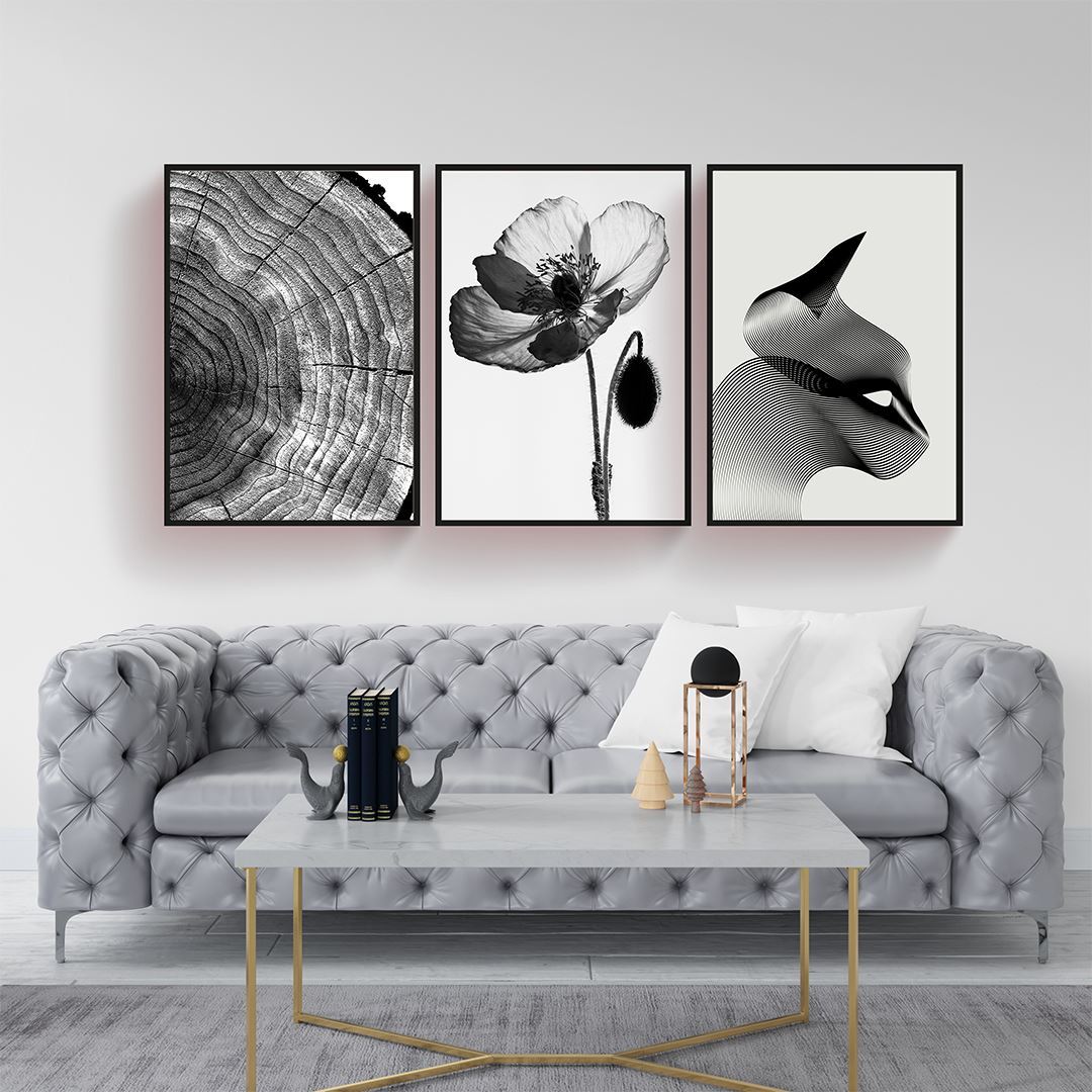 Black and White Canvas Set