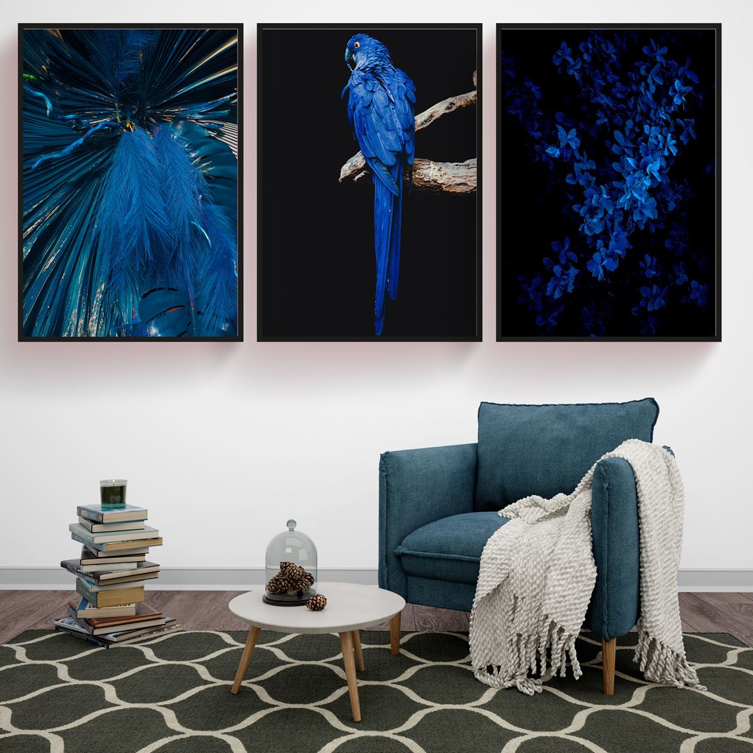Blue Egzotic Canvas Set